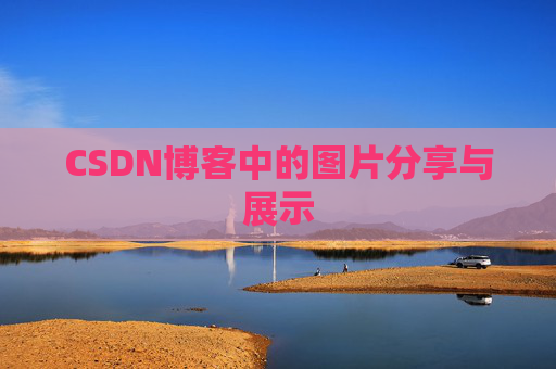 CSDN博客中的图片分享与展示